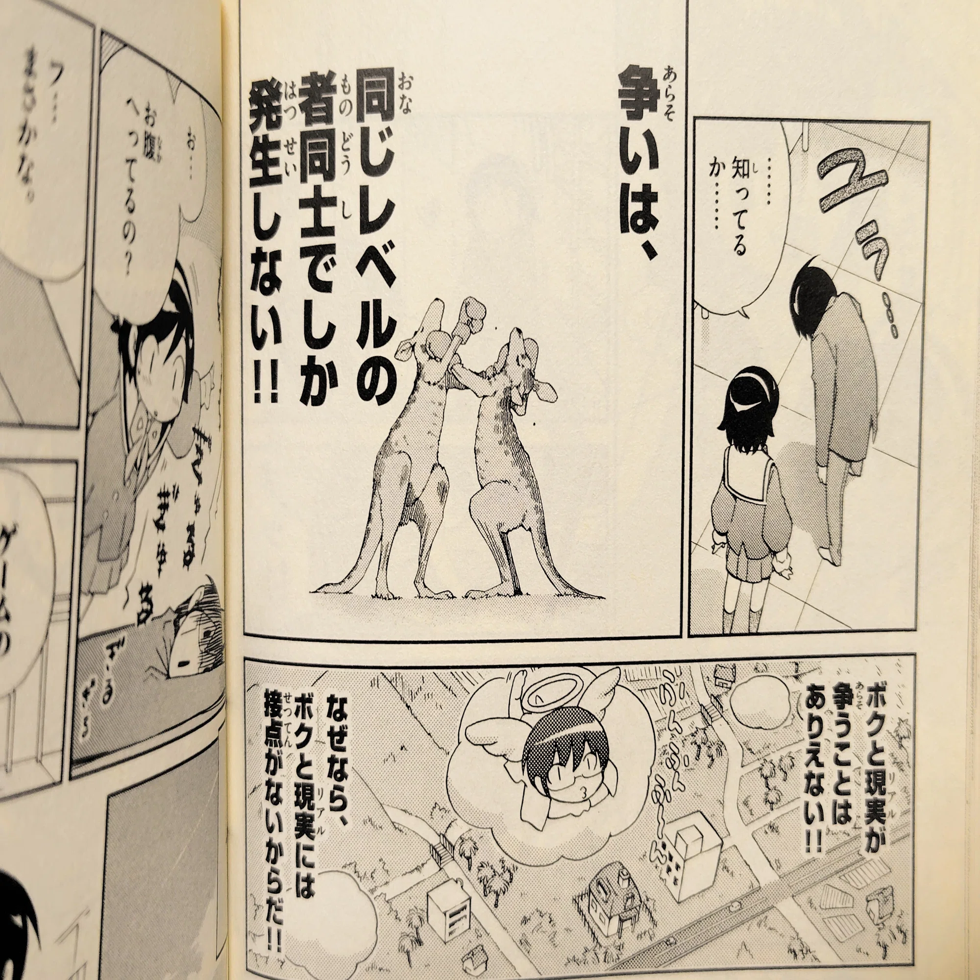 感想】『神のみぞ知るセカイ』読みました！｜とく