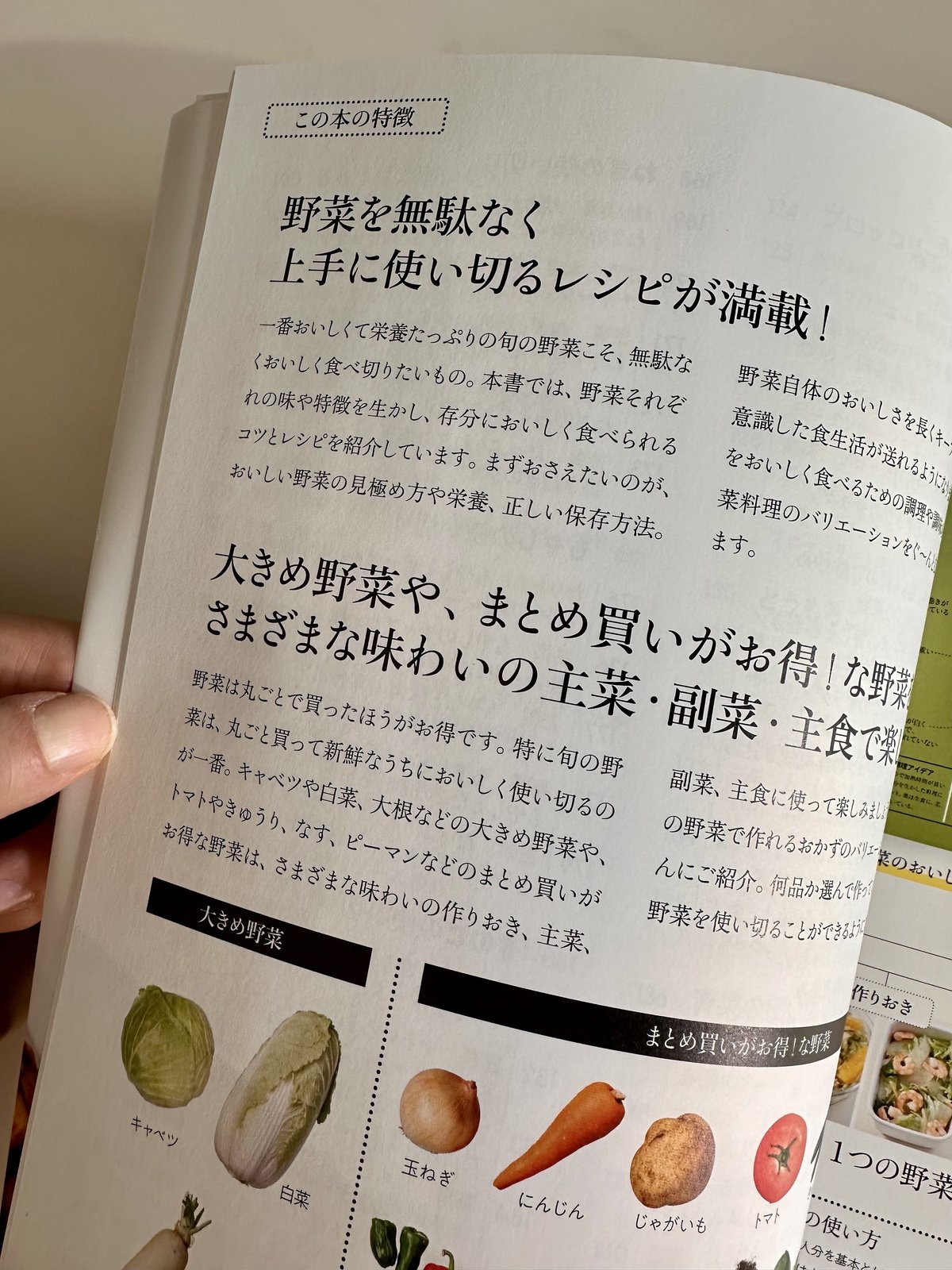 健康を手に入れる食事って何だろう【出版のお知らせ】野菜たっぷり  