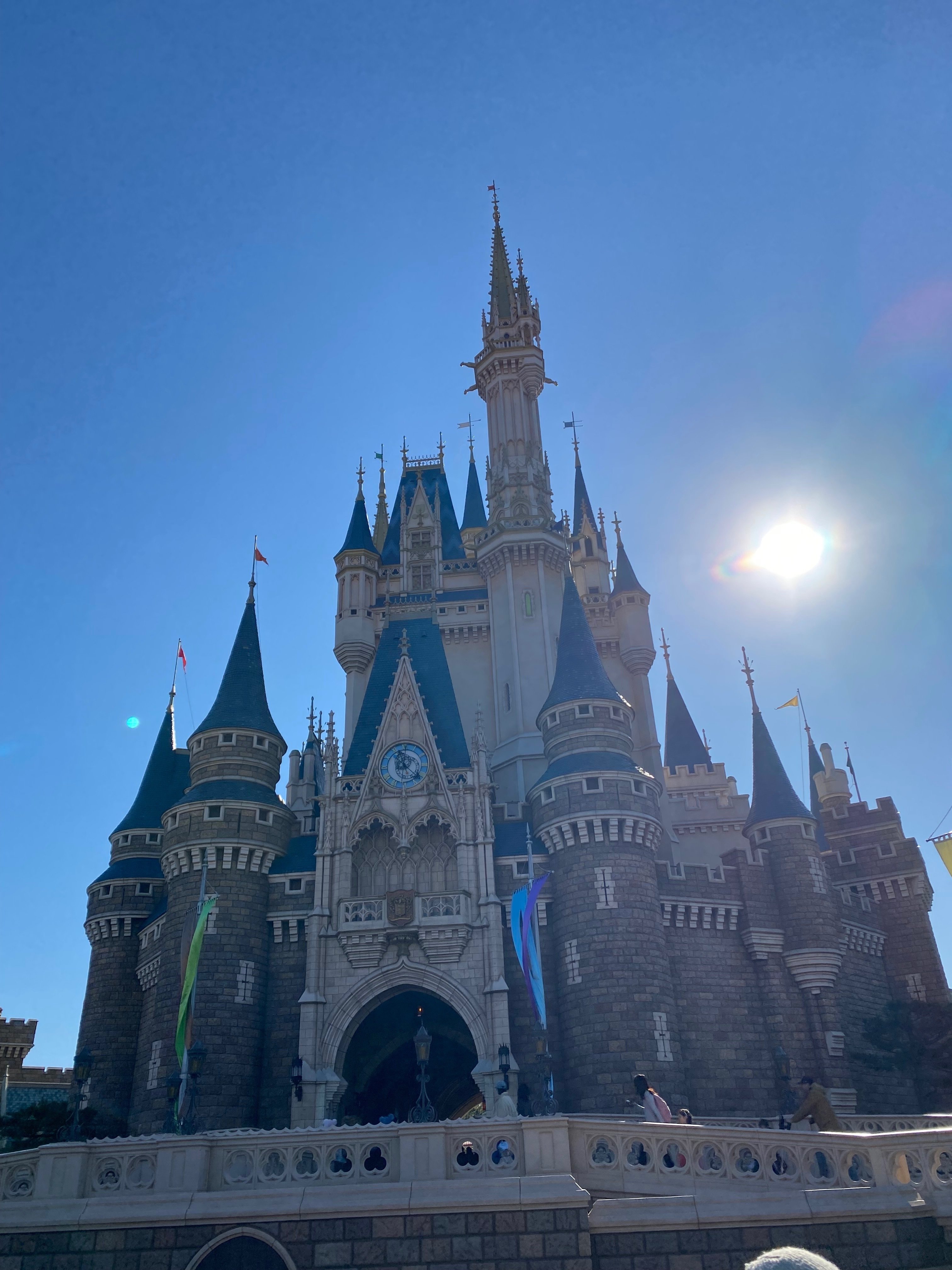 ディズニーランド🏰🐭👑💓｜ラプ335