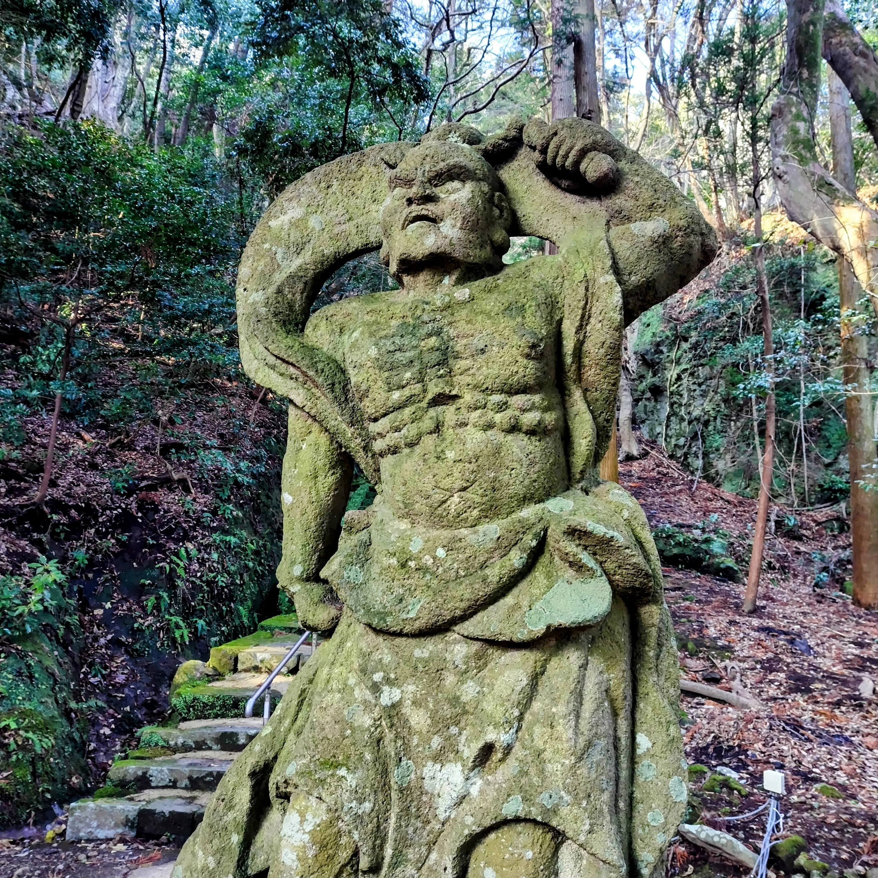 国東半島峯道ロングトレイル一筆書き2025.1/16～17｜旅タロウ