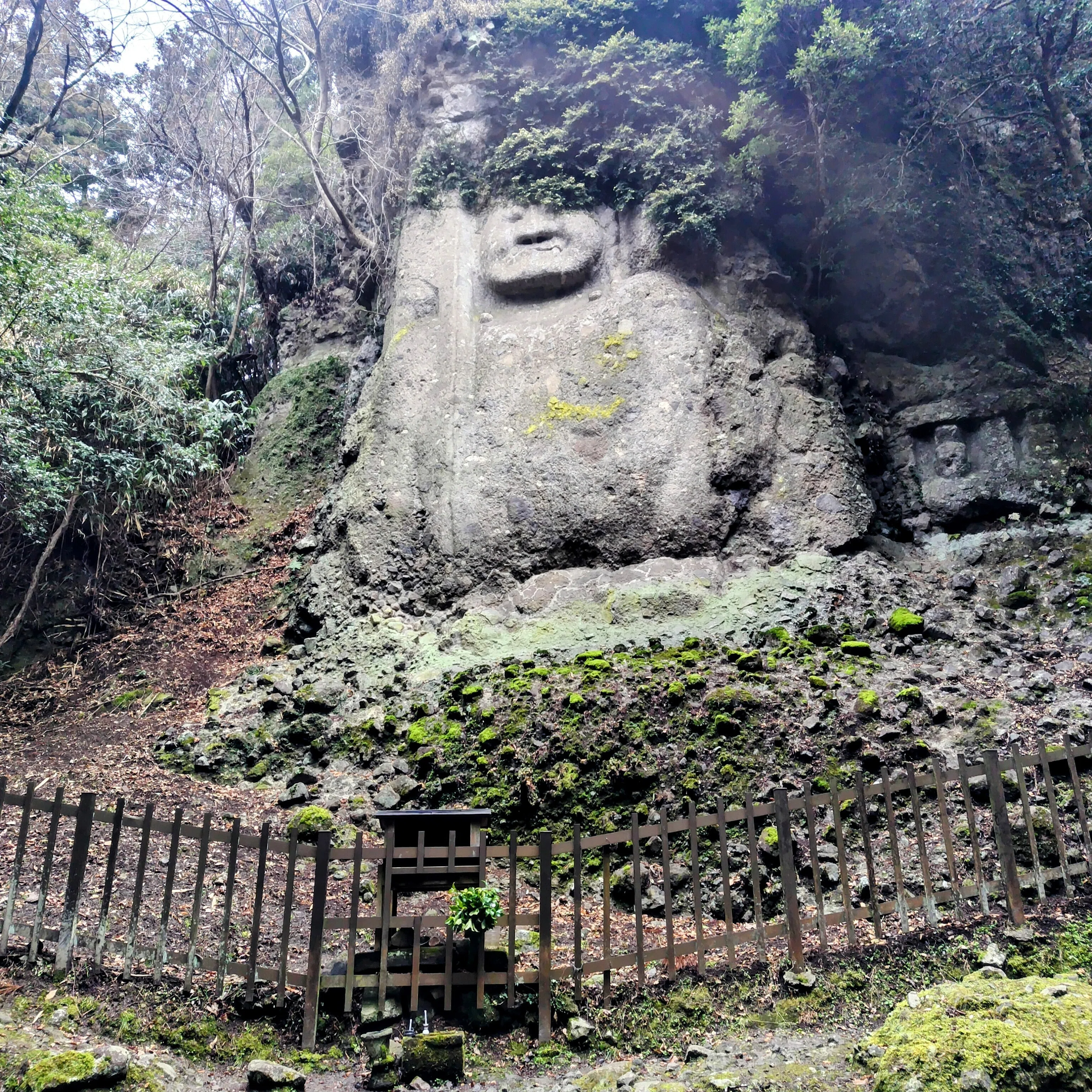 国東半島峯道ロングトレイル一筆書き2025.1/16～17｜旅タロウ