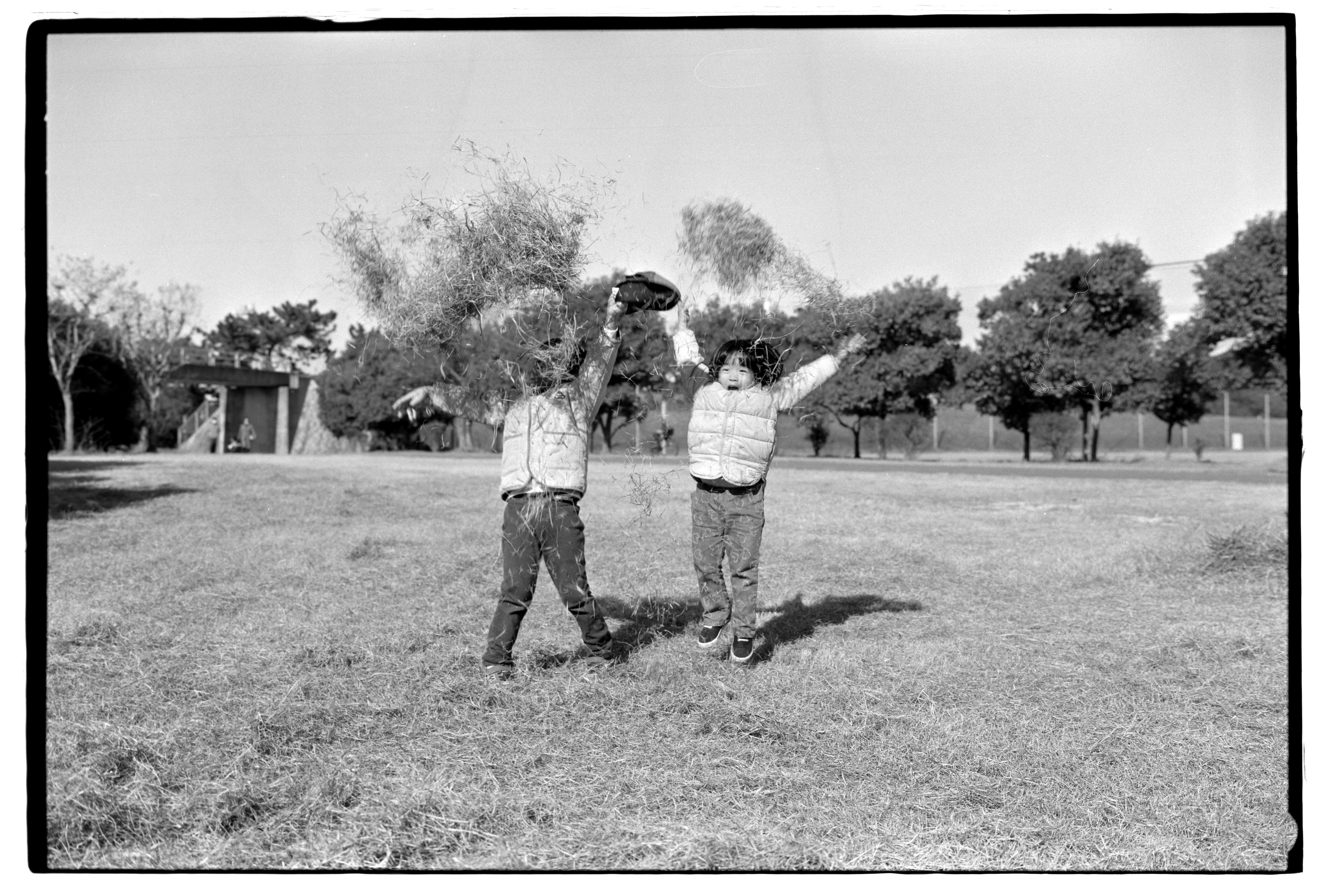 中判フィルム6×9用のネガキャリアを作成しました｜TK_Photo
