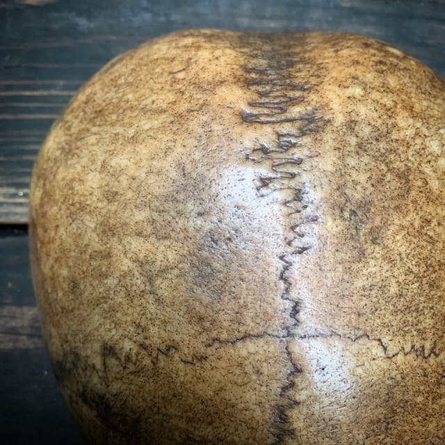 カパラ　ニンマ派の高僧のもの　1800年代初頭 頭蓋骨　アミュレット カパーラから感じる死生観｜喜八