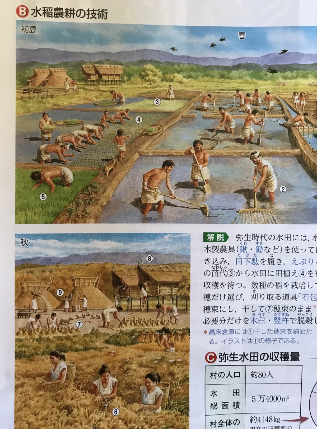 竹田恒泰さんの「国史教科書」を読む シリーズ 4 弥生時代｜asaisan
