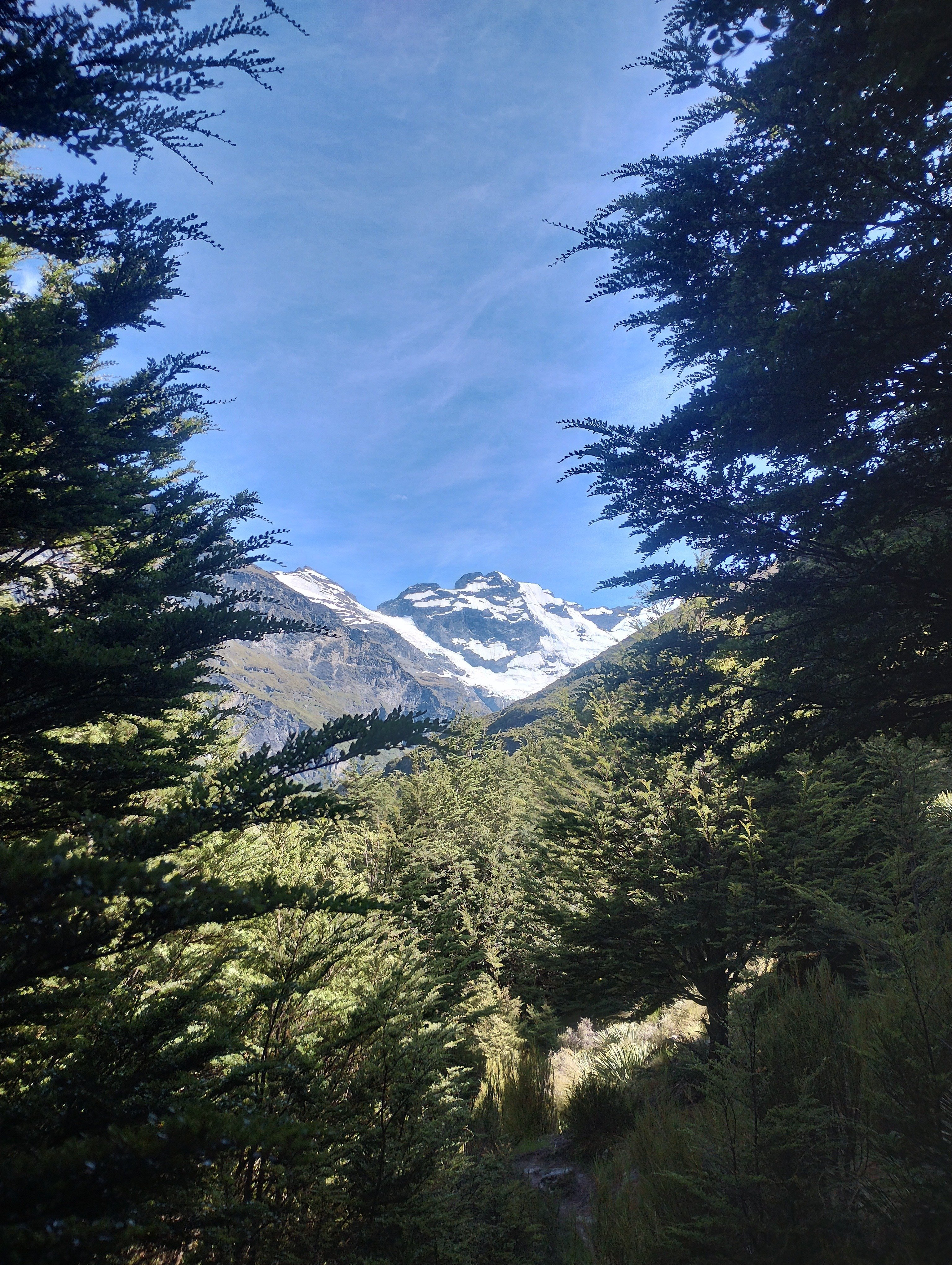 Queenstown/Glenorchy】🏔️Earnslaw Burn🏔️氷河の絶景長距離 Queenstown/Glenorchy】🏔️Earnslaw Burn🏔️氷河の絶景長距離