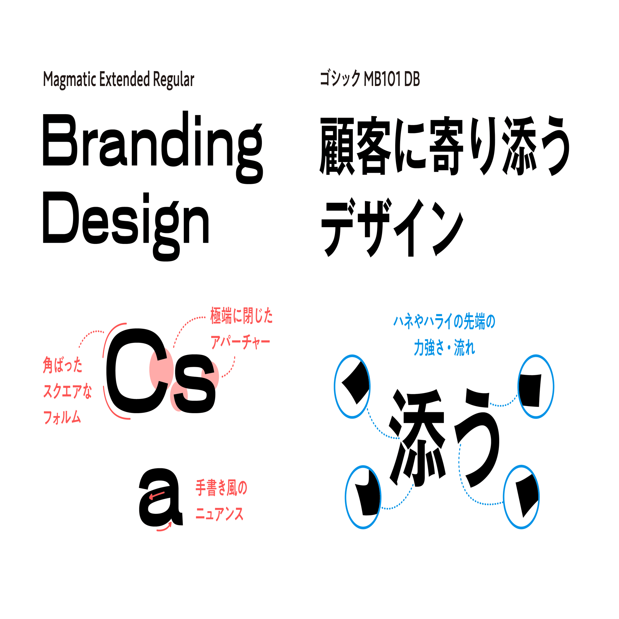 サンプルあり】欧文書体ってどうやって選ぶの？Occupant Fonts