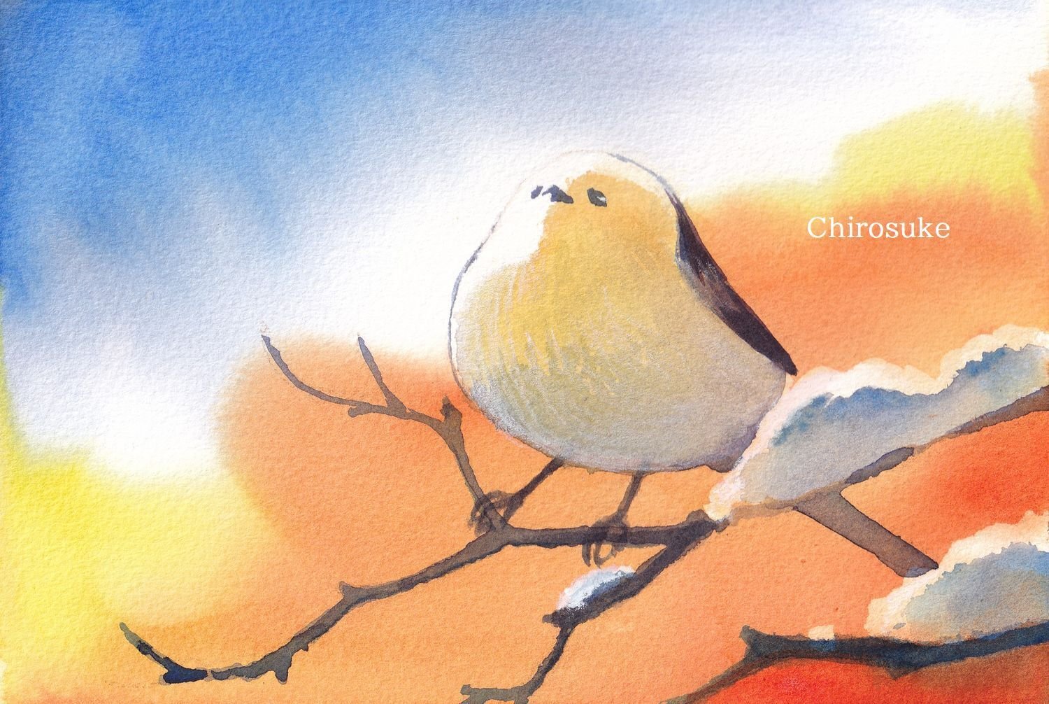 シマエナガの日 水彩画とパステル画｜ちろ