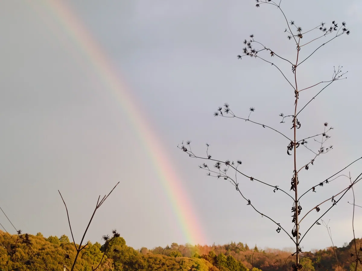 虹のはしっこには、何があるんだろう?🌈 |あずさ