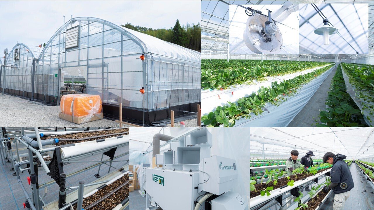 ネクシーズZERO」導入事例① 建設会社がイチゴのハウス栽培をスタート