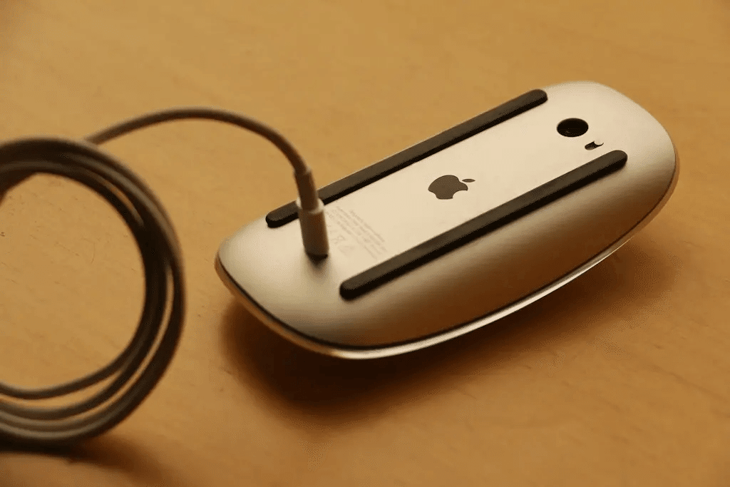【Apple Magic Mouse（USB-C）｜妻に怒られて出品】 Apple Magic Mouse（USB-C）｜妻に怒られて出品】（デザイン重視