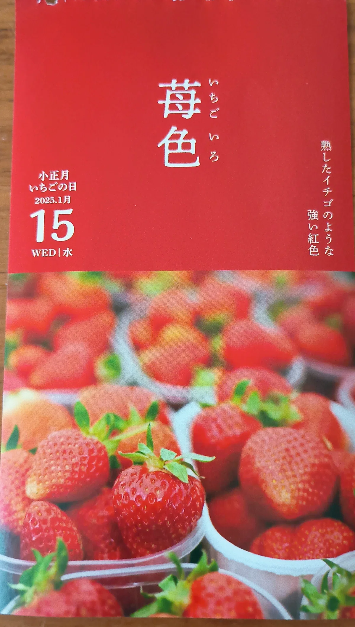 (1/13-1/19) Japanese Colors Daily Calendar｜shrim