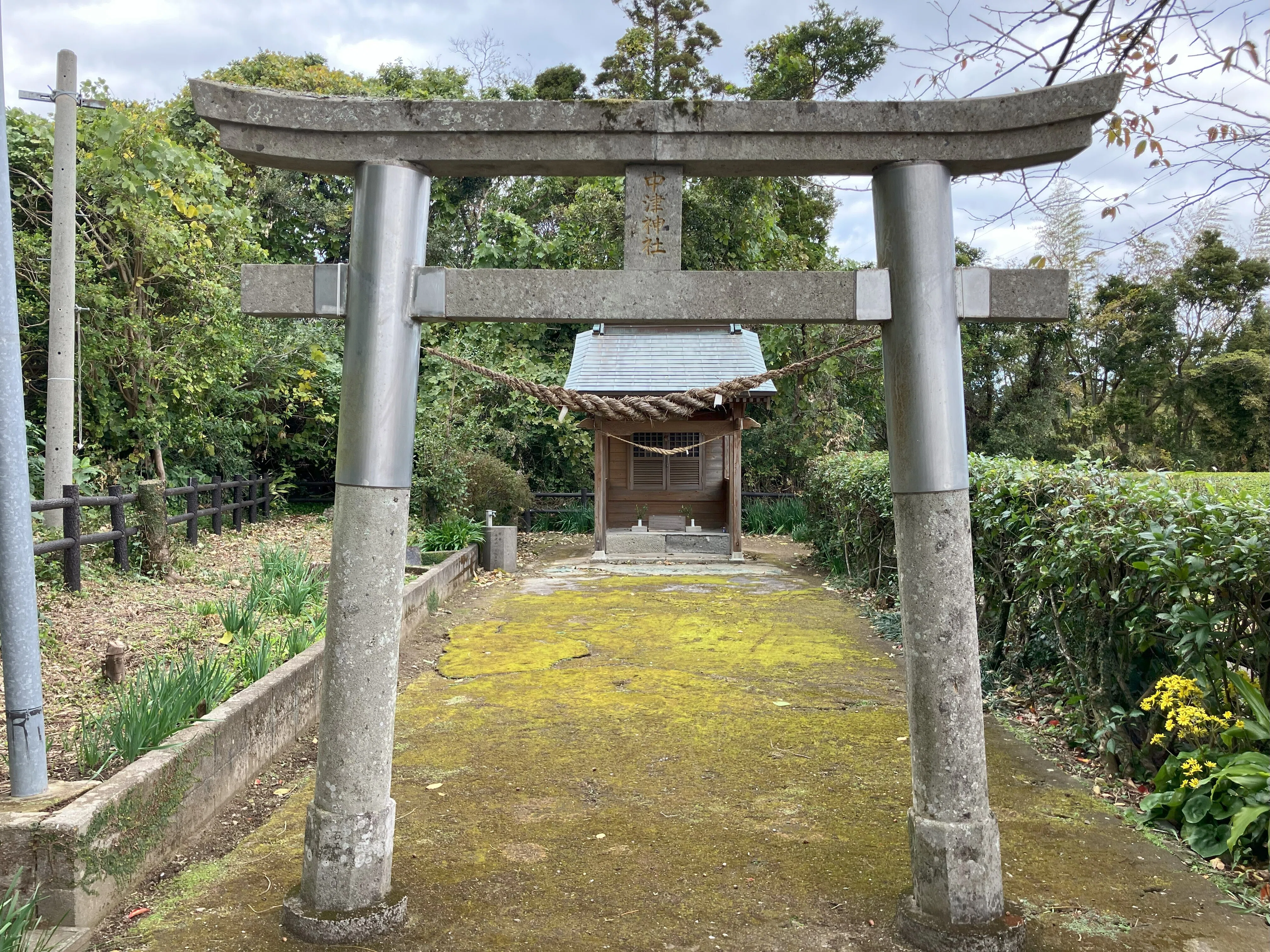 薩摩平氏を訪ねて 21】吹上町の中津神社（日置市） ｜マロン