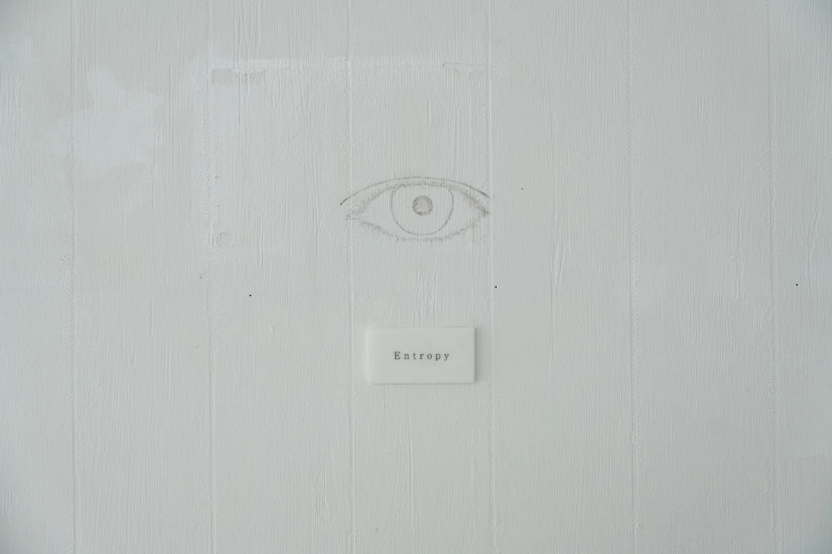 Entropy