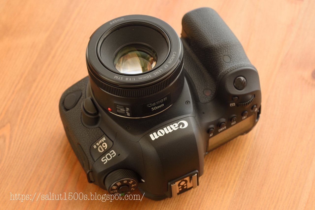 キヤノンEFレンズ】キヤノンEF50mm F1.8 STMがすごく好き キヤノンEFレンズ】キヤノンEF50mm F1.8 STMがすごく好き