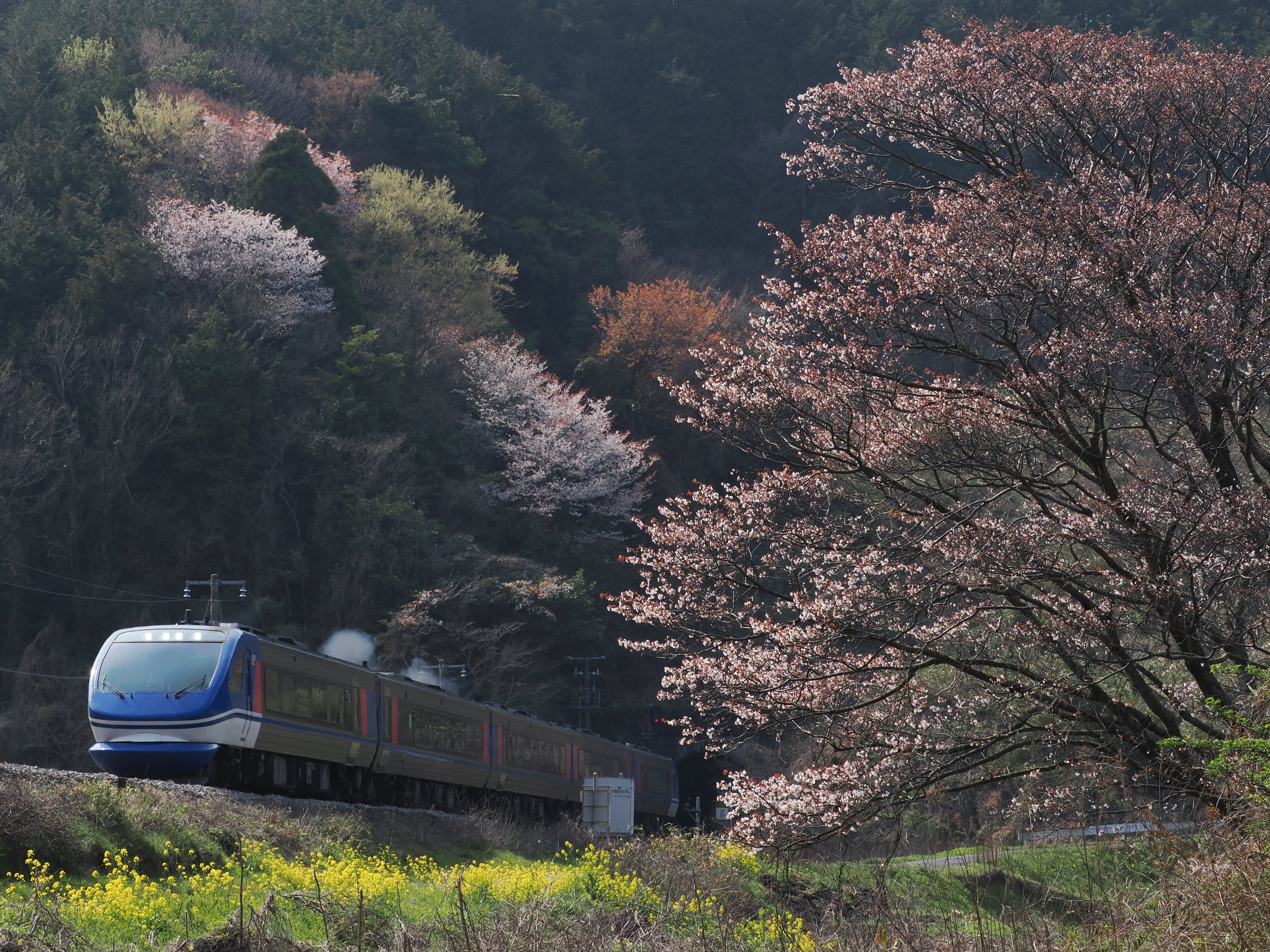 連載＞OMと旅する鉄道情景（第21回/高屋 力）GROUP K.T.R｜OM