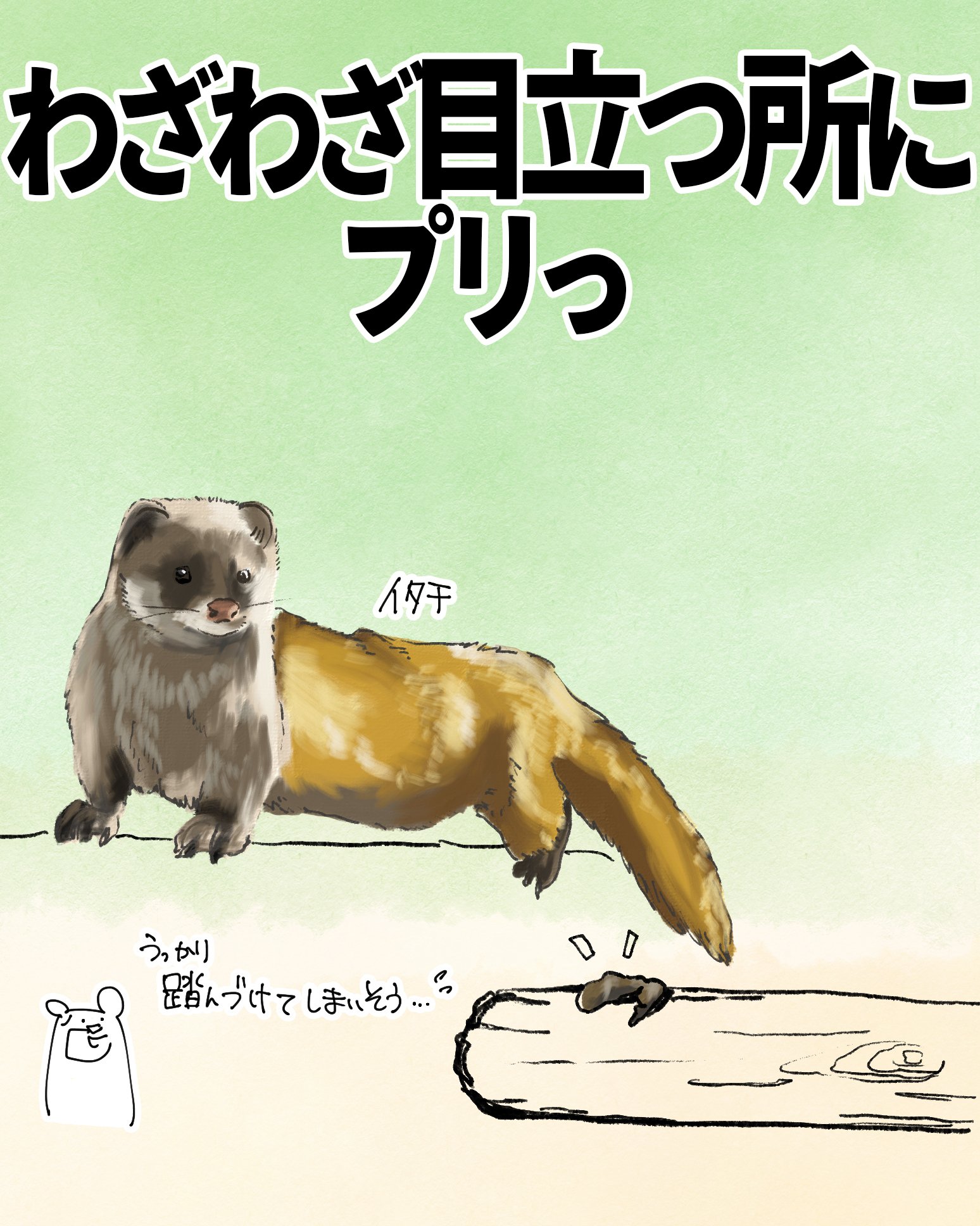 わざわざ目立つところにプリっ｜イタチ｜くますけ｜自然ガイド