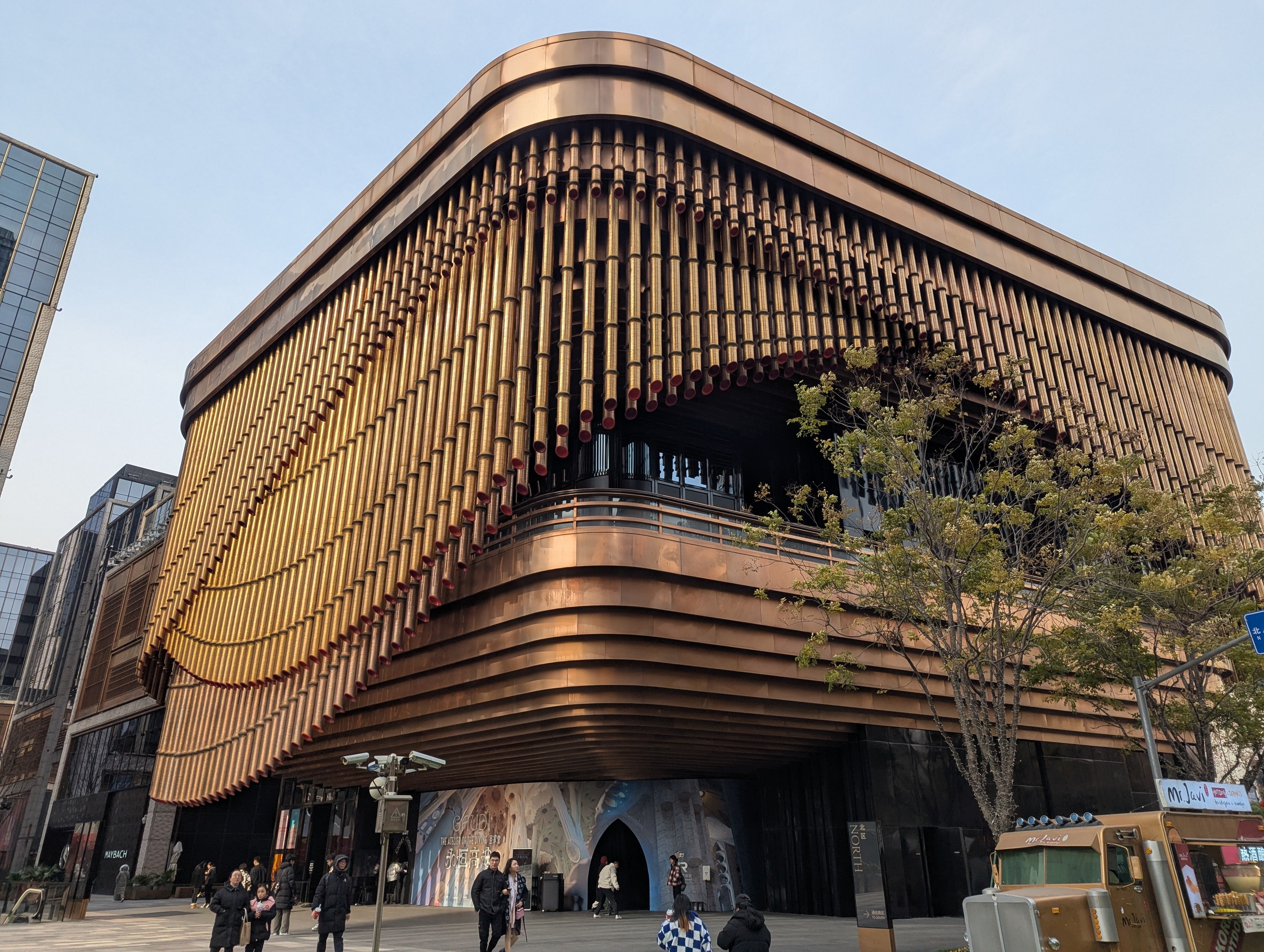 古本 William Hall WOOD PHAIDON ウィリアム・ホール ウッド