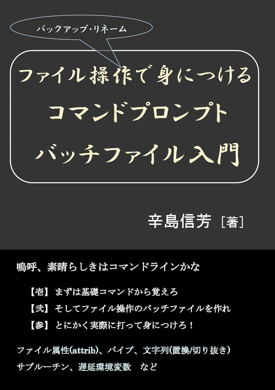 入門 MS-DOSバッチファイル パソコンを効率的に使いこなす簡易プログラム言語 入門MS-DOSバッチファイル: パソコンを効率的に使いこなす簡易