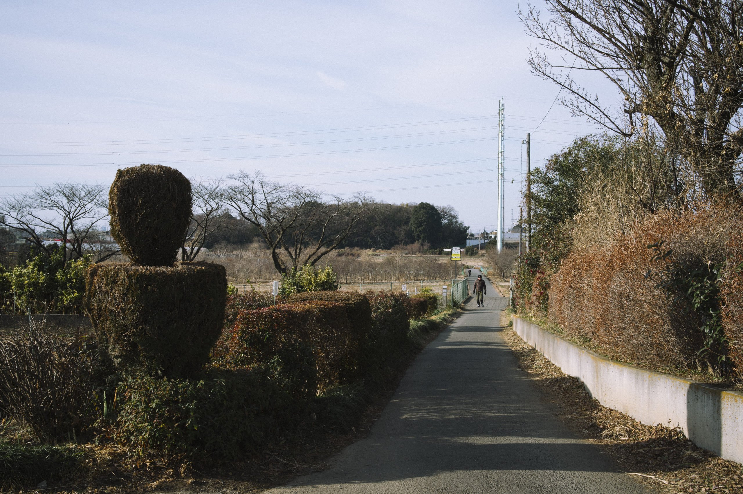 【白黒写真集】（ドイツの西アルプス） 白黒写真集】（ドイツの西アルプス）