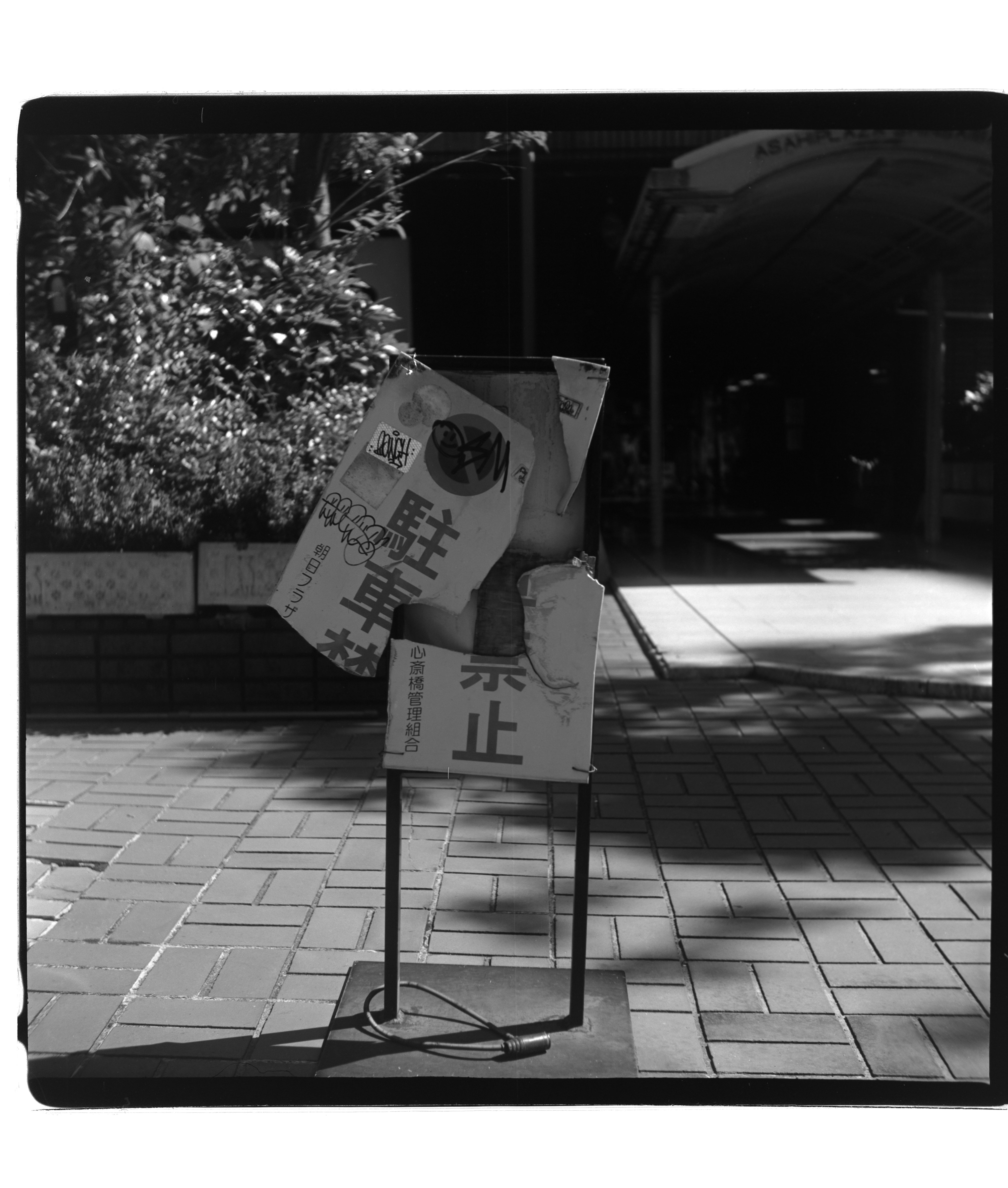 LPL ネガキャリア　6×6 35mm 用　＋モノクロフィルムセット LPL ネガキャリア 6×6 35mm 用 ＋モノクロフィルムセット