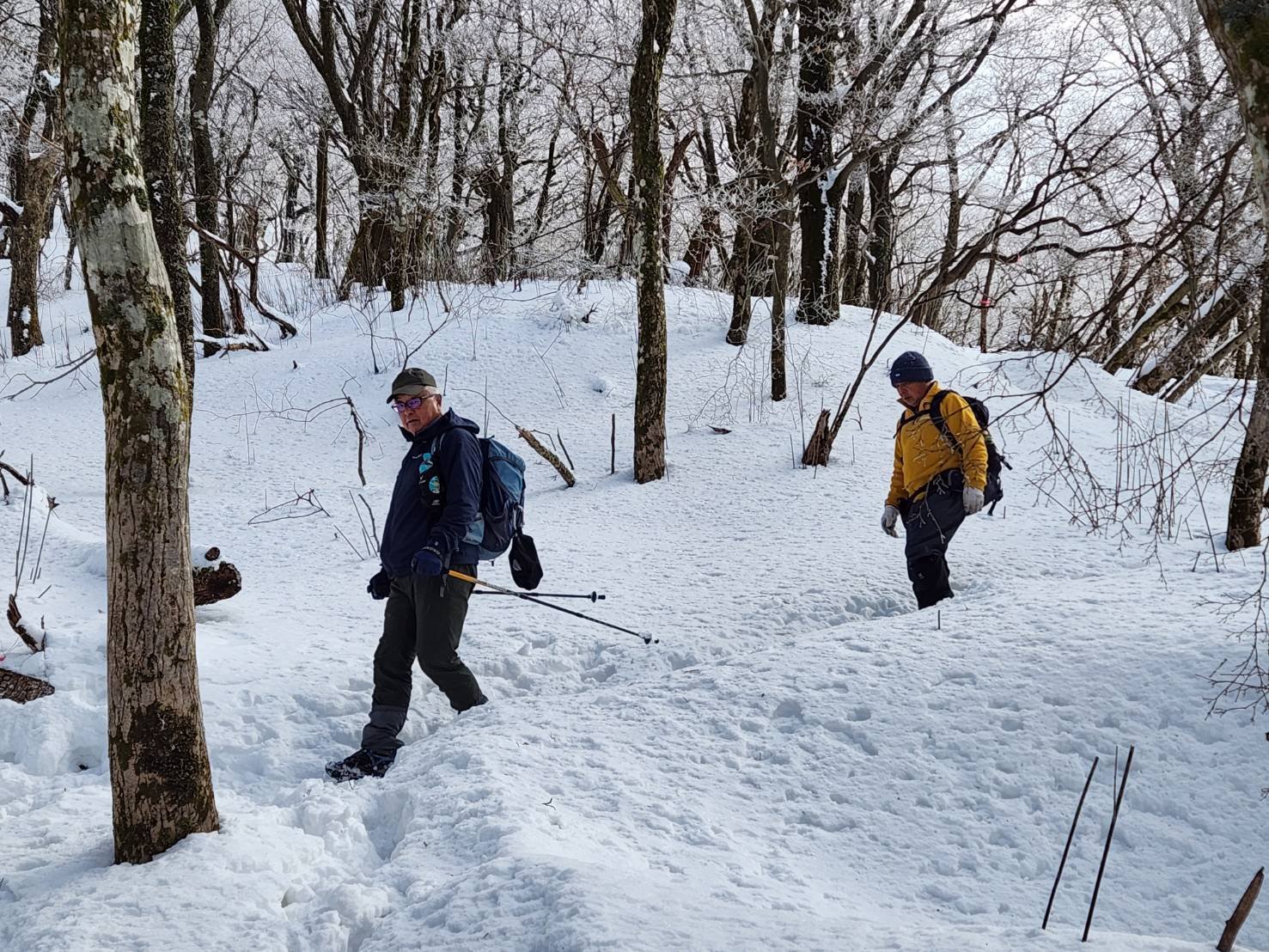1/20 初めての雪山登山（祖母山 1756ｍ）