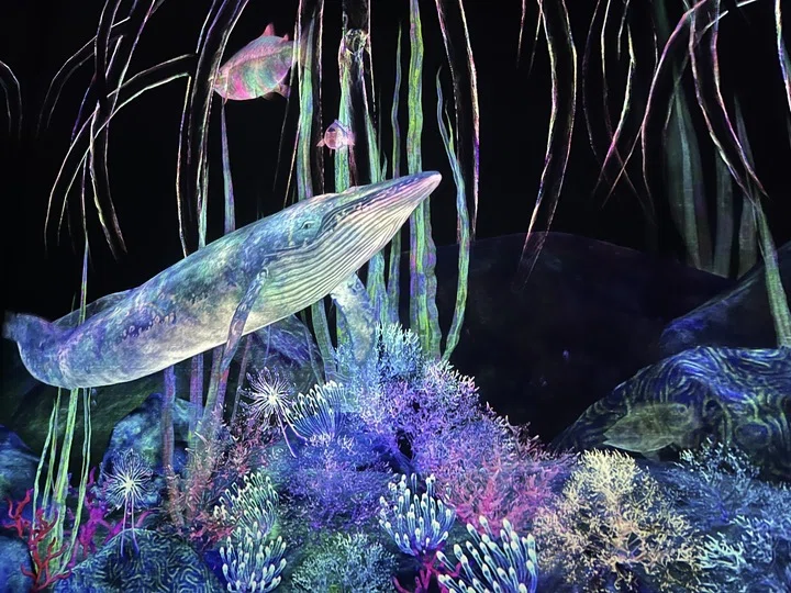 チームラボプラネッツ:つかまえて集める絶滅の森(スタッフ撮影)