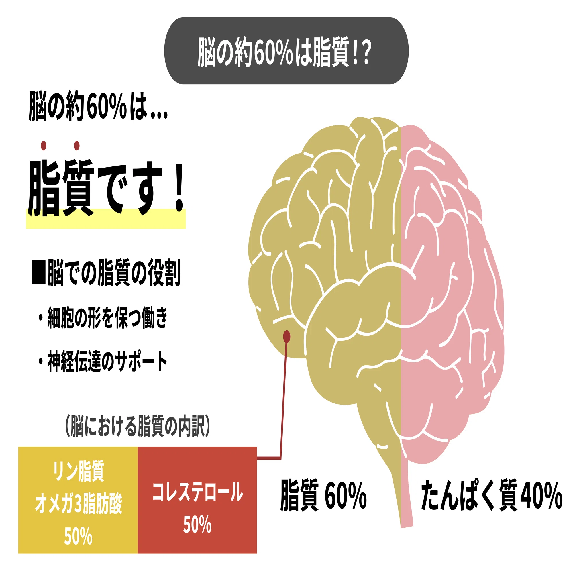 メンタルヘルス」〜管理栄養士と覗く健康トレンド〜｜こころ躍る