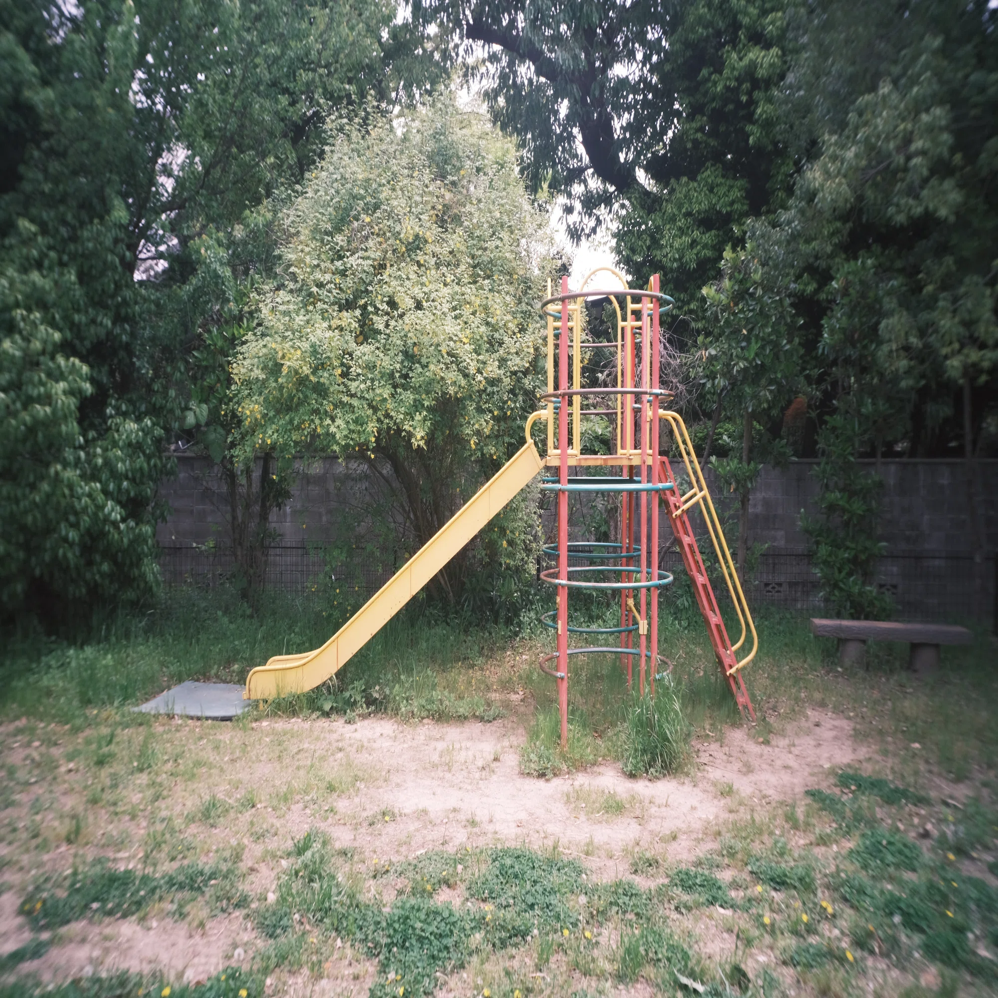 GIZMON Wtulens x FUJIFILM X-E4: Enjoying Snapshots with a Lens 