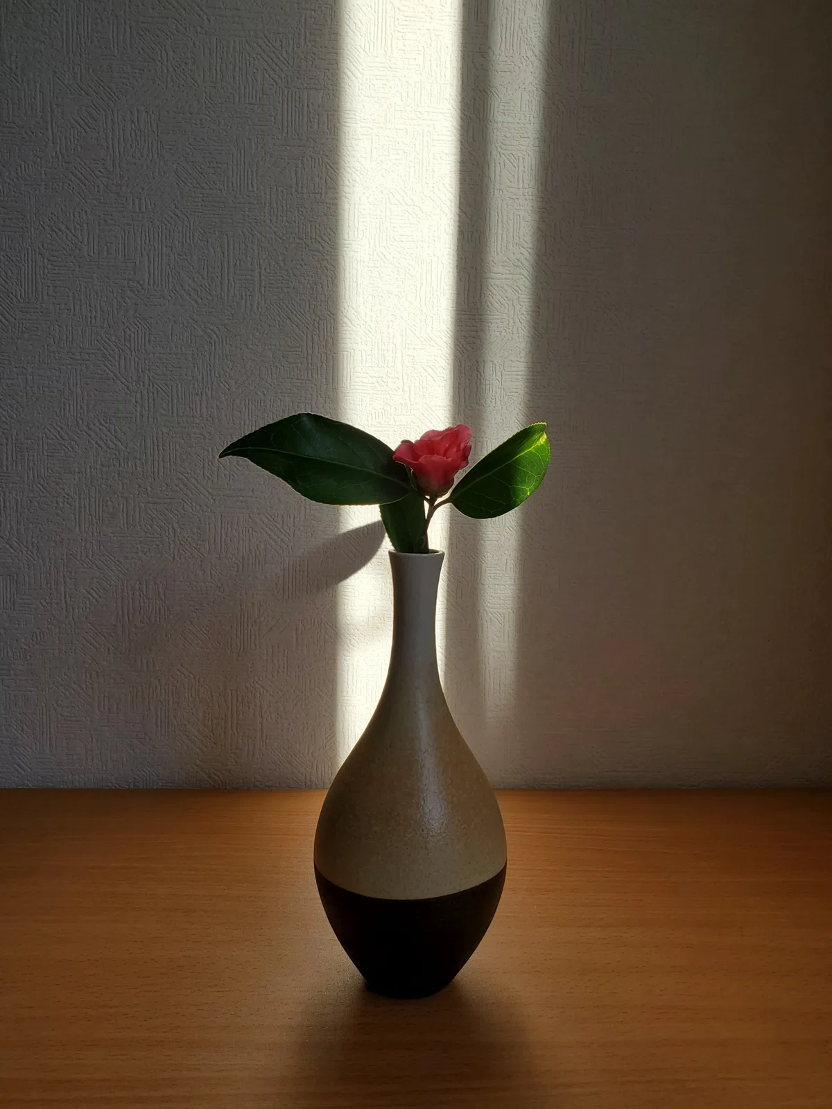 お茶のある日々 / 現代生活における侘茶|サン(宗明)