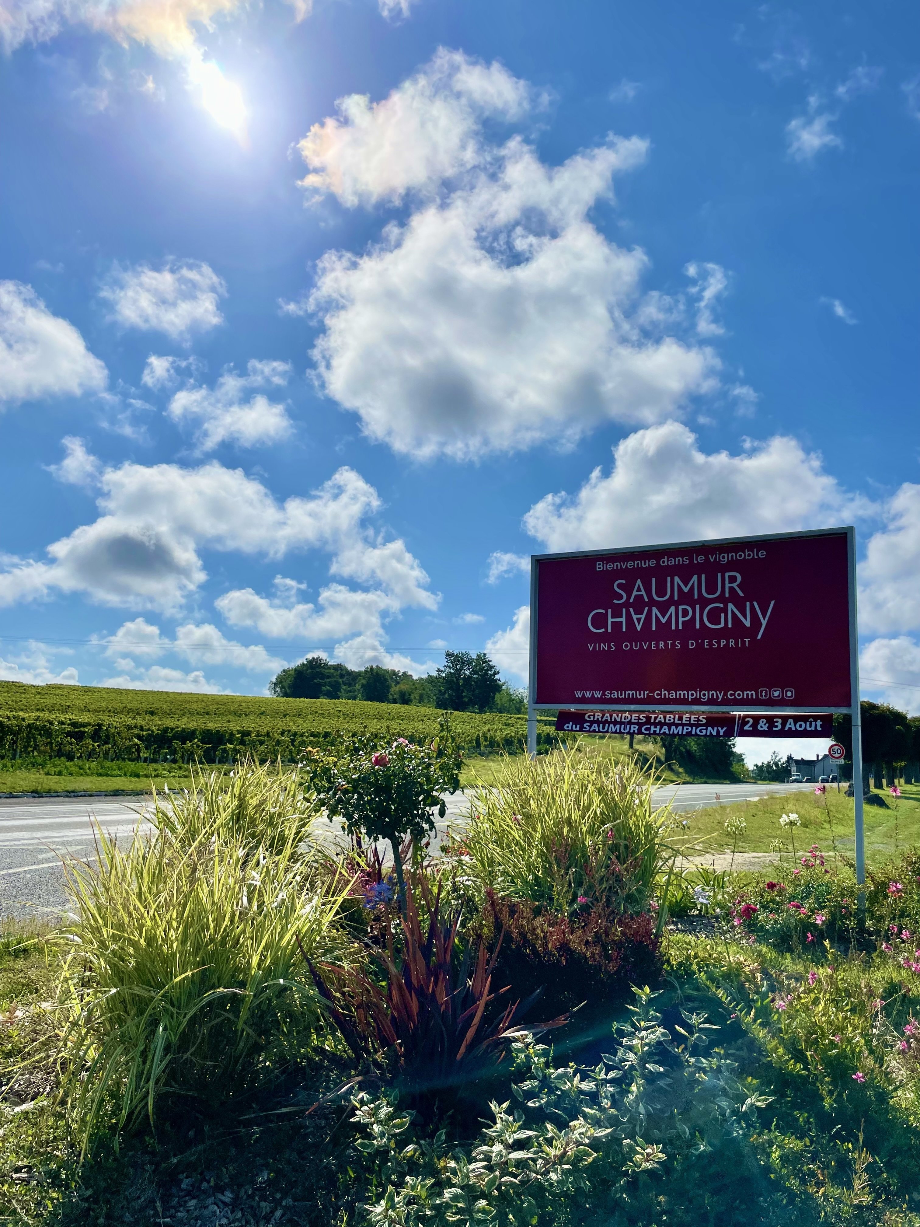 僕のお気に入り家族経営ワイナリーのドメーヌ・デ・サンゼ｜chef ichi