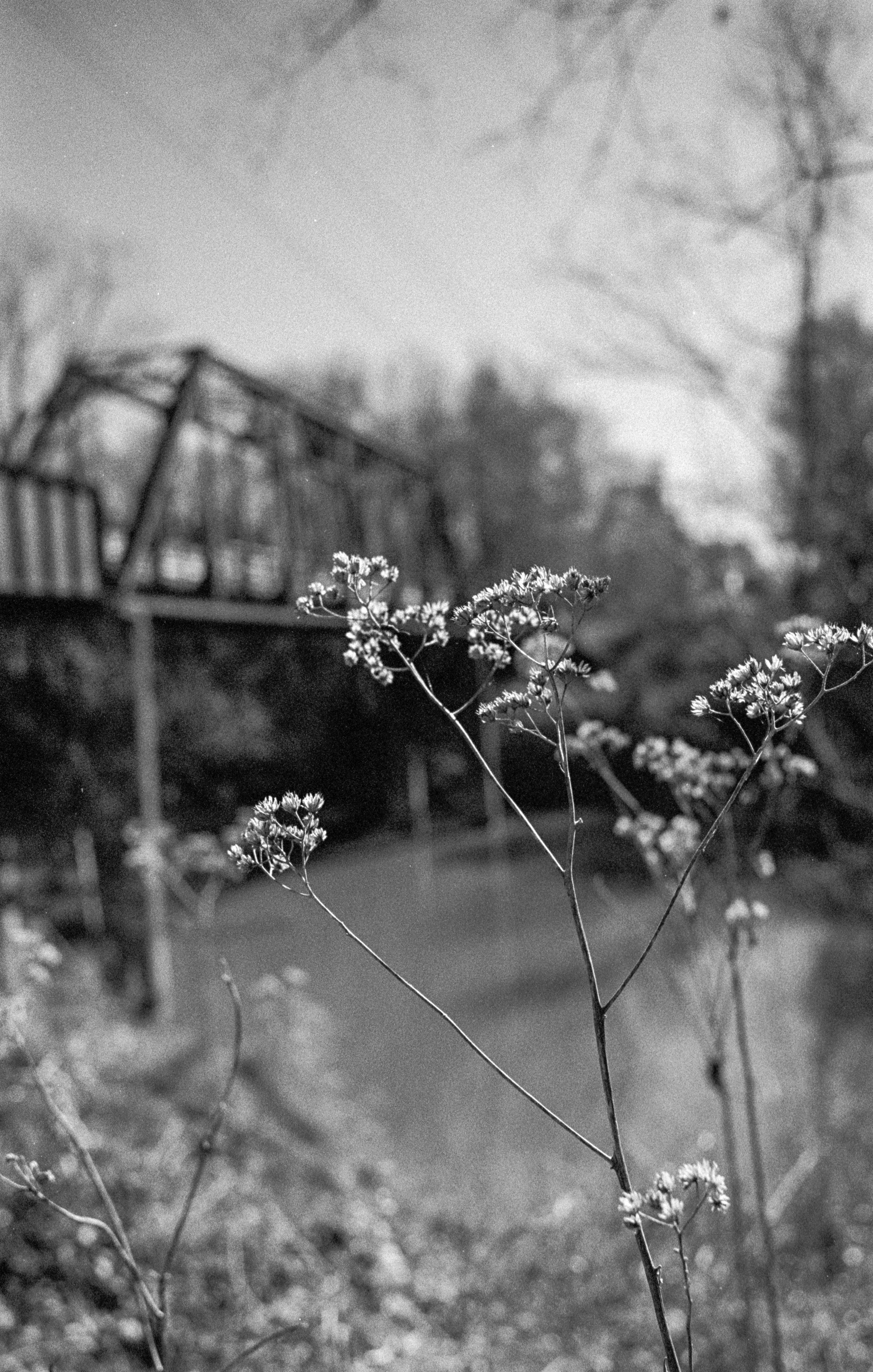 エクスプラス　ゴロー　　カラー版＆白黒版　箱無し オレンジフィルターとKODAK Tri-X（知らない街でフォトウォーク