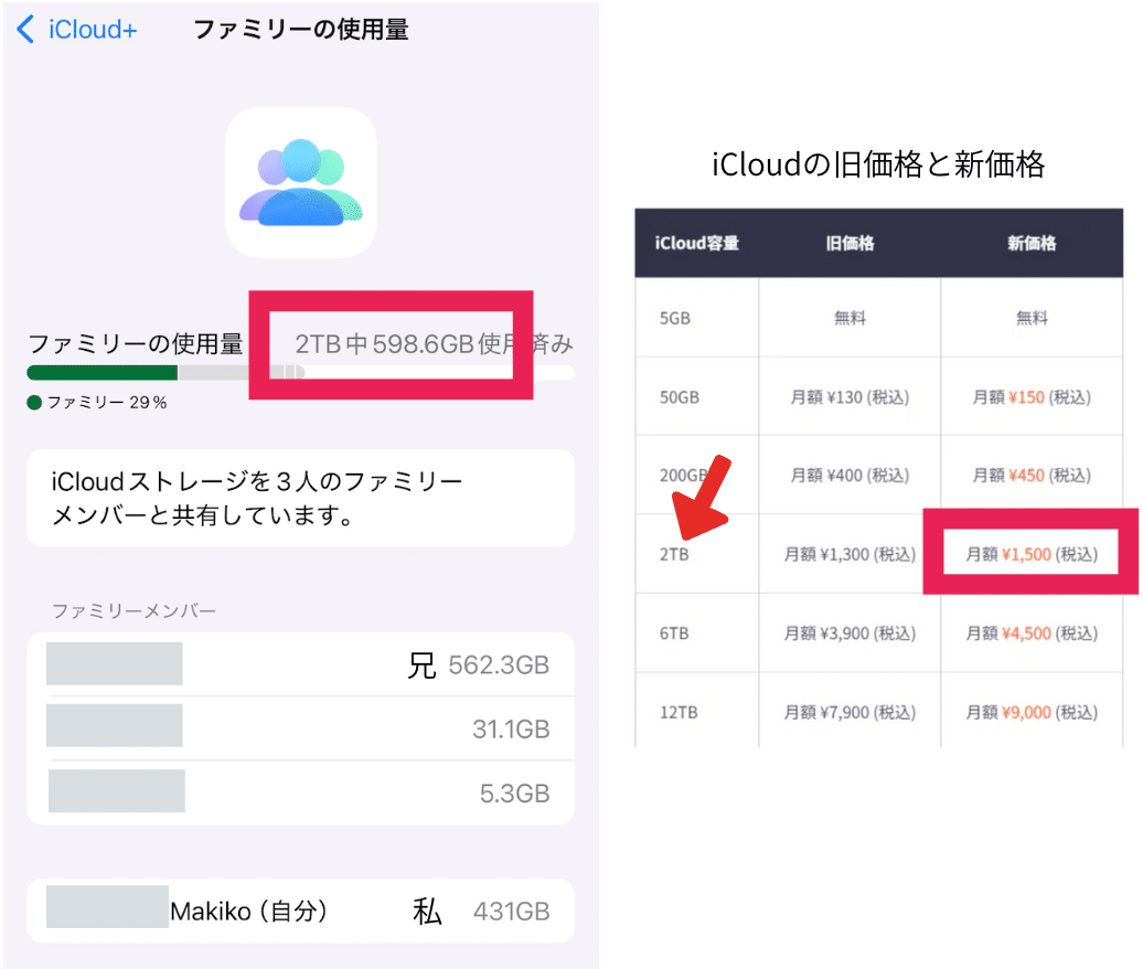 サブスク整理】有料アカウントは家族で見直し！無駄な支出が減った話