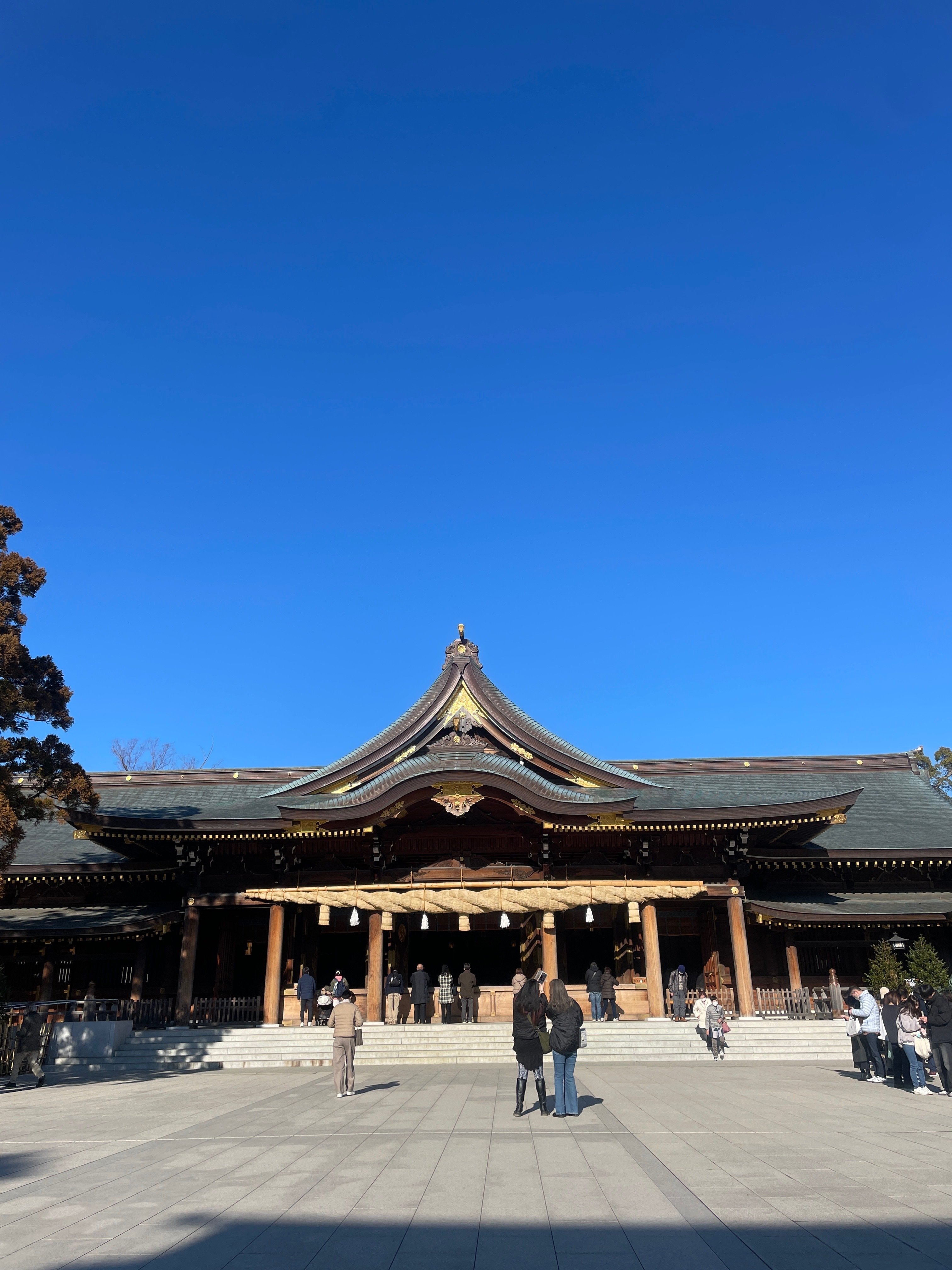 神々のルーツ──「祈りの場」から見た古代日本 一般書-商品詳細|新日本出版社