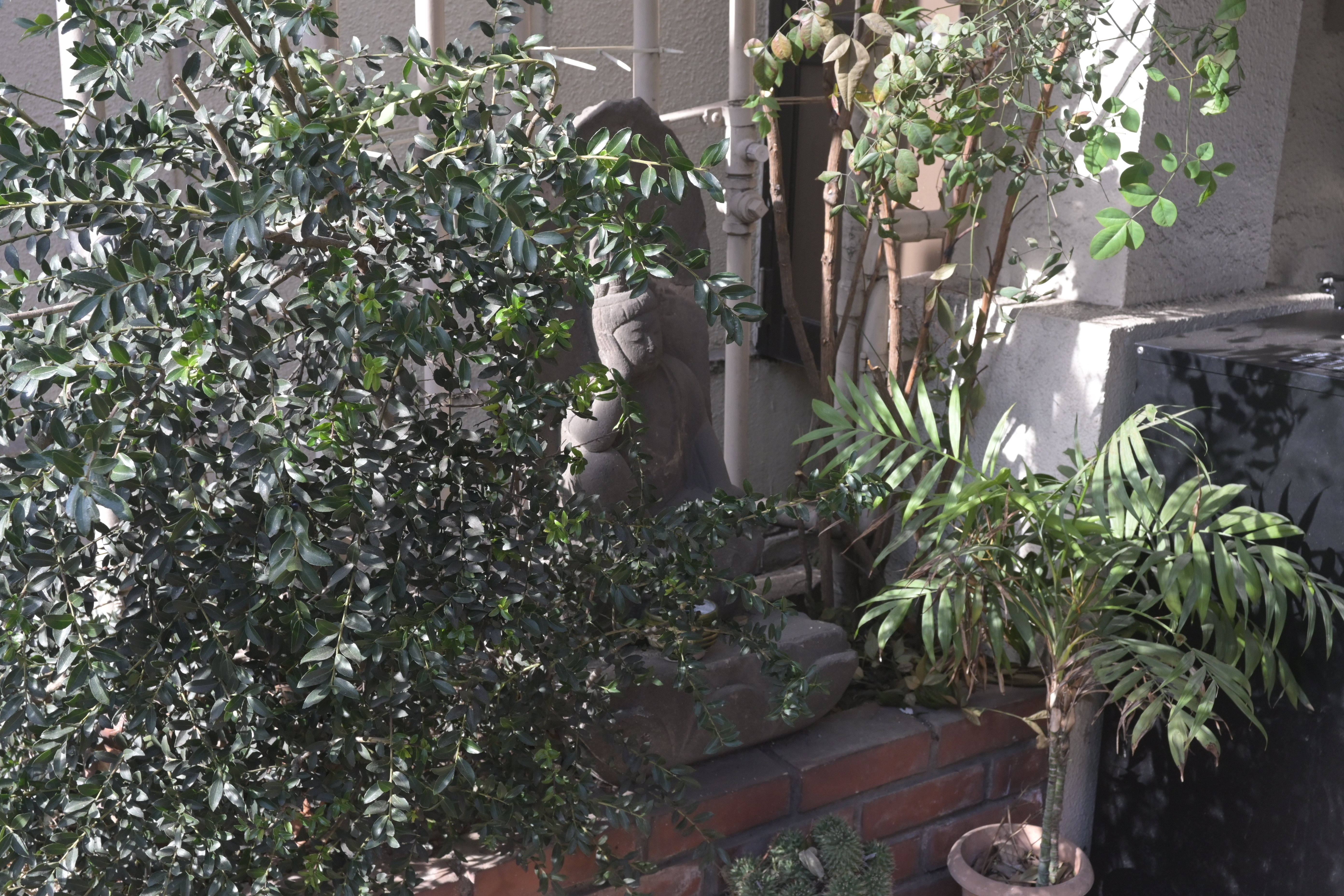 機材】 Nikon Z30を3ヶ月使って｜青木秀平