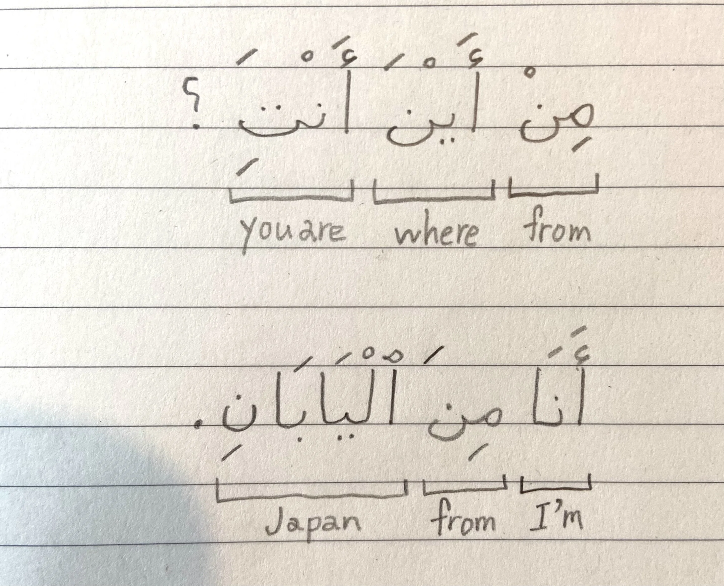 アラビア語の入門を読む٣٤｜循環バスるめ