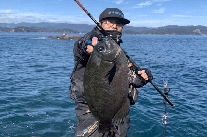 チョッパーおすすめのグレ竿（磯竿）20選！｜チョッパー