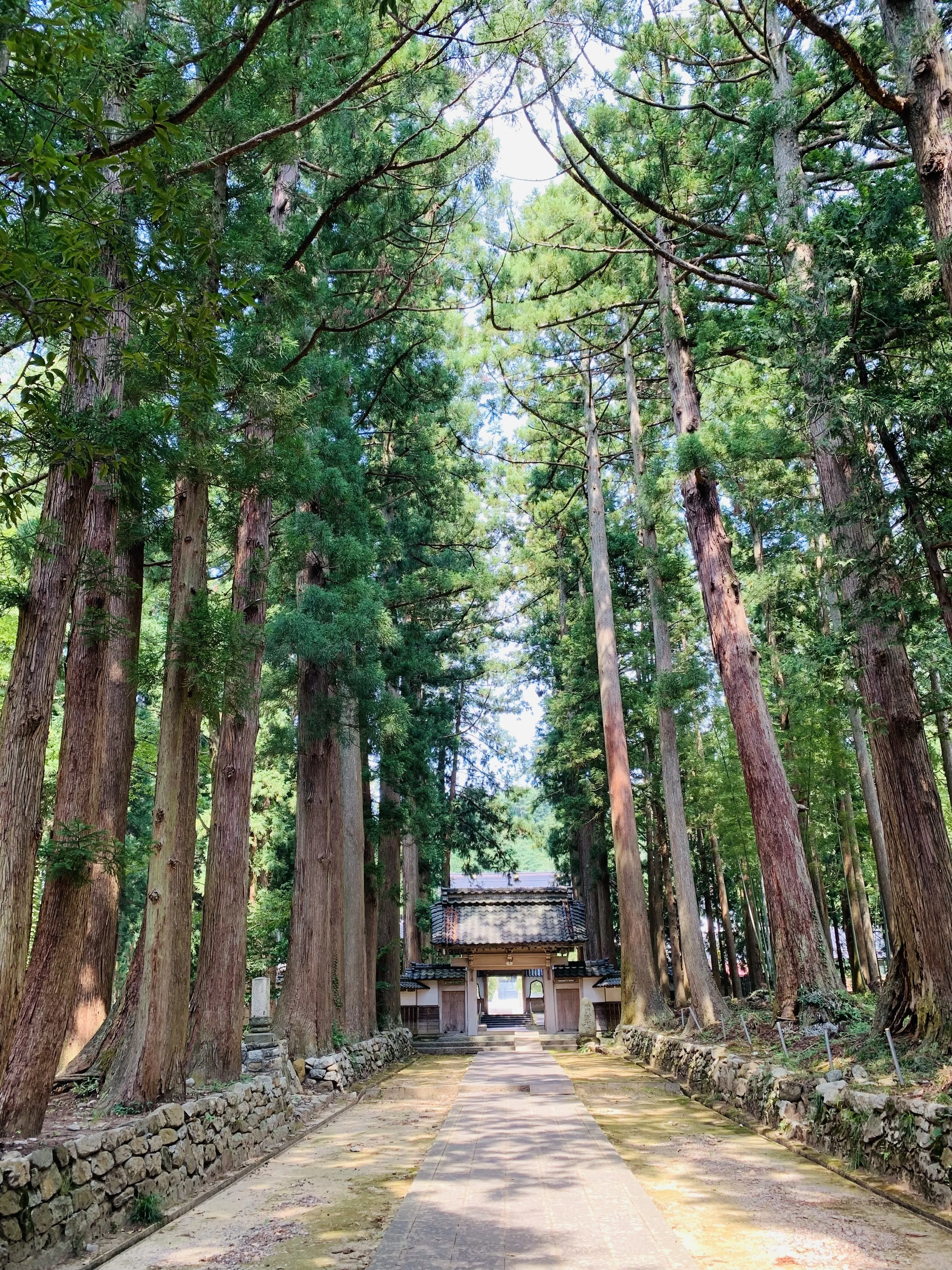 街歩きBlog 2】富山県中新川郡上市町を訪れて…｜K / 旅行記録・旅行小