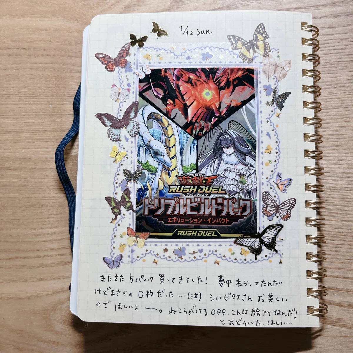 1月も終わりに近い手帳デコ｜am 1月に買ったばかりです！