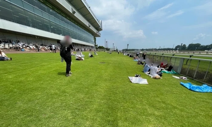新潟競馬場アイビススタンド前の芝生
