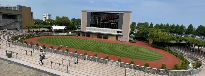 新潟競馬場パドック