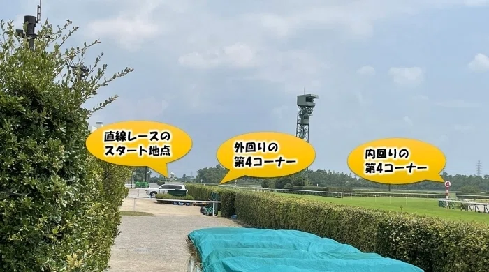 新潟競馬場端から見た直線