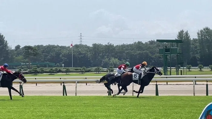 新潟競馬場レース(直線の叩き合い)