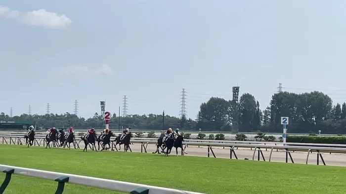 新潟競馬場レースの様子