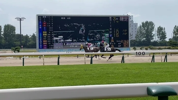 新潟競馬場本馬場入場の様子