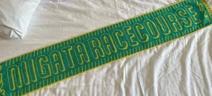 新潟競馬場ターフィーショップで買ったタオル