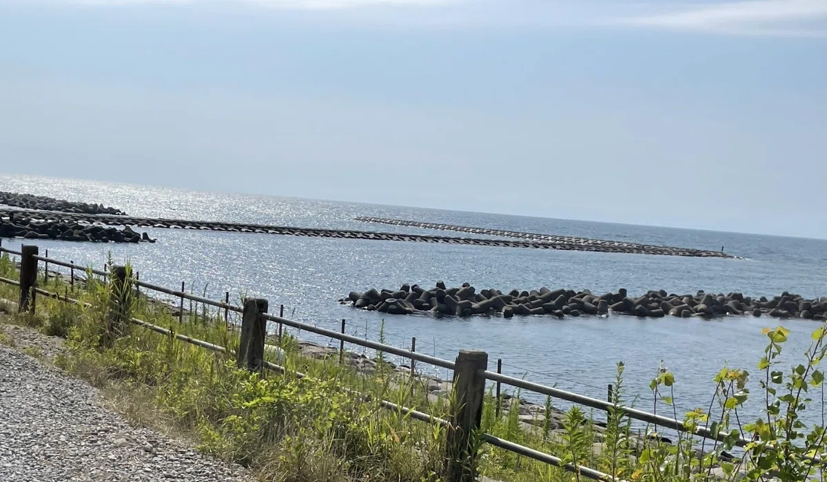 寄居浜