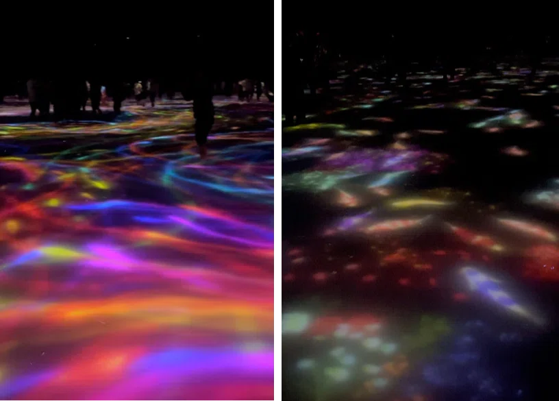 チームラボプラネッツ豊洲:人と共に踊る鯉によって描かれる水面のドローイング – Infinity(スタッフ撮影)