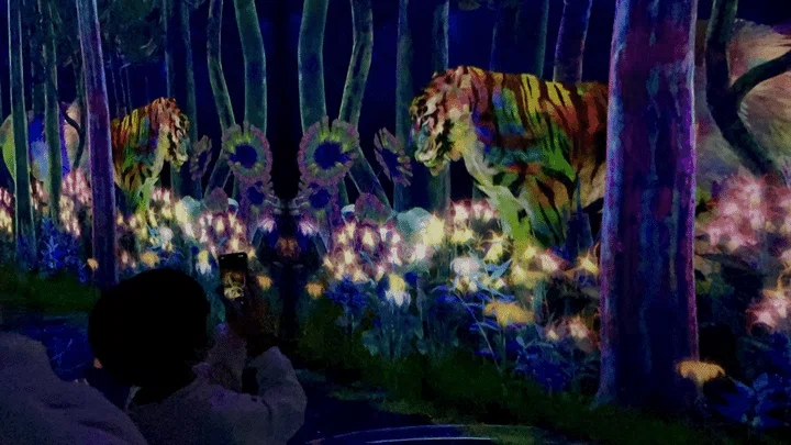 チームラボプラネッツ豊洲 つかまえて集める絶滅の森(スタッフ撮影)