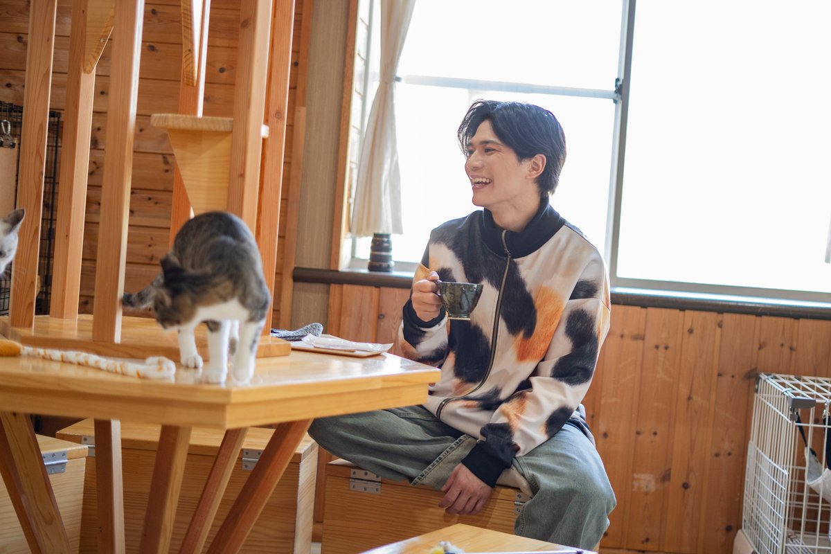 飲み物をいただいていると猫様たちが近くに寄ってきてくれました（撮影＝上野留加）