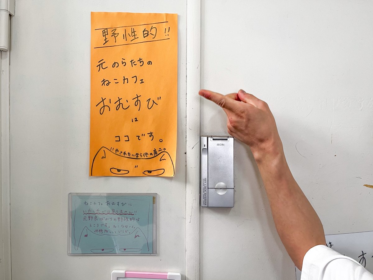 お店の入口には「野性的!!」の文字が（撮影＝numan編集部）
